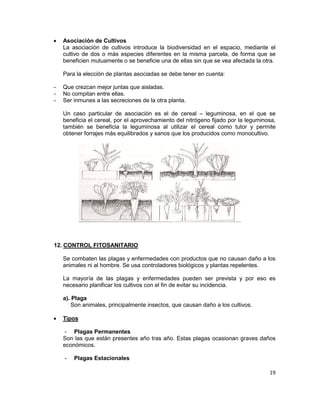 •

Asociación de Cultivos
La asociación de cultivos introduce la biodiversidad en el espacio, mediante el
cultivo de dos o más especies diferentes en la misma parcela, de forma que se
beneficien mutuamente o se beneficie una de ellas sin que se vea afectada la otra.
Para la elección de plantas asociadas se debe tener en cuenta:

-

Que crezcan mejor juntas que aisladas.
No compitan entre ellas.
Ser inmunes a las secreciones de la otra planta.
Un caso particular de asociación es el de cereal – leguminosa, en el que se
beneficia el cereal, por el aprovechamiento del nitrógeno fijado por la leguminosa,
también se beneficia la leguminosa al utilizar el cereal como tutor y permite
obtener forrajes más equilibrados y sanos que los producidos como monocultivo.

12. CONTROL FITOSANITARIO
Se combaten las plagas y enfermedades con productos que no causan daño a los
animales ni al hombre. Se usa controladores biológicos y plantas repelentes.
La mayoría de las plagas y enfermedades pueden ser prevista y por eso es
necesario planificar los cultivos con el fin de evitar su incidencia.
a). Plaga
Son animales, principalmente insectos, que causan daño a los cultivos.
•

Tipos
- Plagas Permanentes
Son las que están presentes año tras año. Estas plagas ocasionan graves daños
económicos.
-

Plagas Estacionales
19

 