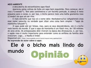 MEIO AMBIENTE
A descoberta do estranhíssimo sapo-fóssil
Apareceu pelas colinas da Índia um sapo bem esquisitão. Para começar, ele é
roxo (“creeedo!”). Tem sete centímetros e um focinho pontudo. A cabeça é meio
pequena para o corpo, e, por isso, o bicho parece mais uma bolha gosmenta roxa
(Creedo!) do que um ser vivo.
E mais estranho que isso só o nome dele: Nasikabatrachus sahyadrensis (mas
esse nome palavrão na verdade quer dizer uma coisa bem simples – “sapo da
montanha Sahyadri”).
O sapo pode até ser feioso, mas, para os seus descobridores, ele é o bicho
mais bonito do mundo. É que o sapo da montanha é um fóssil vivo, de 130 milhões
de anos atrás. Os antepassados dele viveram na época dos dinossauros, e, por isso,
o sapão roxo é muito importante para entender como os anfíbios da família dele
evoluíram. Logo... o Nasika é lindo!
Disponível em: <http://www.canalkids.com.br/central/arquivo/meio_sapofossil.htm>
Na expressão do autor sobre o sapo:
Ele é o bicho mais lindo do
mundo
Opinião
 