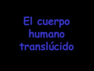 El cuerpoEl cuerpo
humanohumano
translúcidotranslúcido
 