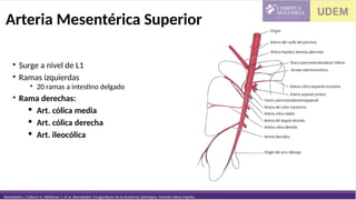 659426292-12-Anatomia-y-fisiologia-de-colon-y-recto.pptx