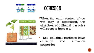 Particle Cohesion 659849103-Chemical-Properties-of-Soil.pptx