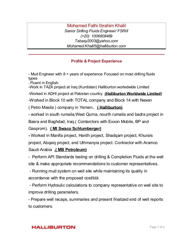 Resume summary examples picture