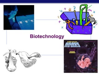 Biotechnology




AP Biology                   2007-2008
 