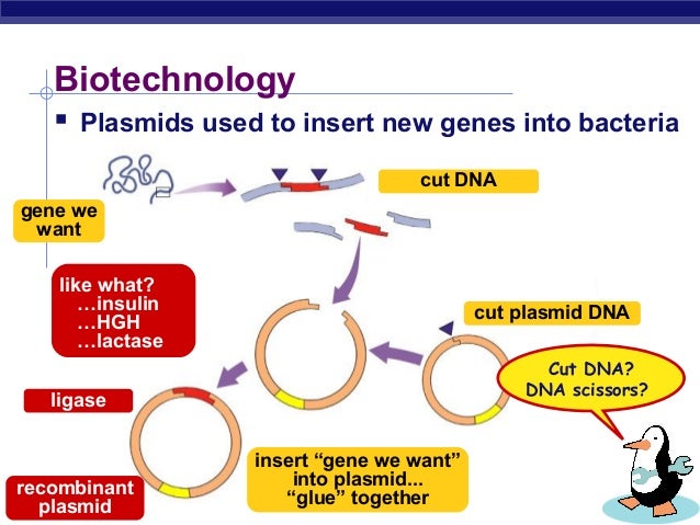 Inserting gene into genome