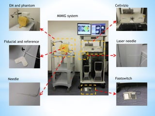 MIMIG system
EM and phantom
Laser needleFiducial and reference
Cellvizio
FootswitchNeedle
 