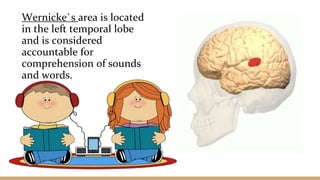 Language comprehension and curriculum ppt | PPT