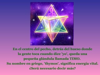 En el centro del pecho, detrás del hueso donde la gente toca cuando dice 'yo', queda una pequeña glándula llamada TIMO.  Su nombre en griego, 'thymos', significa energía vital. ¿Será necesario decir más? 