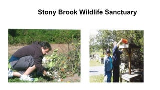 Stony Brook Wildlife Sanctuary
 