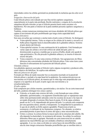 intercalados entres las células germinativas produciendo la melanina que da color en el
pelo.
Irrigación e Inervación del pelo
Cada folículo piloso está rodeado por una fina red de capilares sanguíneos,
especialmente en la parte más profunda. Recibe nutrientes y oxígeno de la circulación
sanguínea del pelo reticular ya que el folículo penetra hasta zonas cercanas a la
hipodermis. Por otra parte el interior de la paila también presenta capilares sanguíneos y
linfáticos
También, existen numerosas terminaciones nerviosas alrededor del folículo piloso que
captan el movimiento del pelo posibilitando que tenga cierta capacidad táctil.
Vainas foliculares
Son unas envueltas que sostienen y anclan tanto al pelo como al folículo. Se distinguen:
    • Vaina epitelial interna. Tiene su origen en las células de la matriz y envuelve al
         bulbo piloso llegando hasta la desembocadura de la glándula sebácea. Sostiene
         al pelo dentro del folículo.
    • Vaina epitelial externa. Es una continuación de la epidermis. Está formada por
         varias capas de células a nivel del orificio de salido del pelo, pero va
         disminuyendo su grosos a medida que se acerca al bulbo, donde solo queda la
         capa germinativa. De ella procede la glándula sebácea y se inserta el músculo
         erector del pelo.
    • Vaina conjuntiva. Es una vaina externa al folículo. Son agrupaciones de fibras
         dérmicas más concentradas alrededor del folículo piloso. Esta vaina tiene como
         función el reforzamiento de la posición del folículo piloso.
Glándula sebácea
Las glándulas aparecen asociadas al folículo (salvo alguna excepción) y producen sebo,
como objetivo de lubrificar. Se explica más adelante.
Músculo piloerector del pelo
Formado por fibras de tejido muscular liso se encuentra insertado en la pared del
folículo piloso y anclado a la capa basal de la epidermis. Su contracción provoca un
movimiento en el folículo piloso, de manera que lo sitúa algo más perpendicular con
respecto a la superficie de la piel; el pelo sigue este movimiento y se
eriza(horripilación).
El tallo capilar
Está compuesto por células muertas, queratinizadas y sin núcleo. En un corte transversal
del tallo, podemos distinguir tres zonas o partes:
    • Cutícula, es la parte más exterior del tallo, y está formada por unas células
         aplanadas, queratinizadas y sin pigmento (translúcidas) que se superponen unas
         sobre otras permaneciendo adosadas como las escamas de un pez o las tejas de
         un tejado dirigiendo el extremo libre hacia la punta. El nº de capas celulares
         puede ser de 2 a 10, dependiendo del grosos del pelo. La cutícula está compuesta
         por una queratina densa, amorfa y transparente. La integridad de la queratina es
         lo que da al cabello su brillo aspecto agradable. Proporciona al pelo su
         resistencia y le defiende de los fenómenos exógenos. No obstante, su relativa
         porosidad permite el paso hacia el córtex del agua y otras micromoléculas.
    • Córtex o corteza: la corteza forma la mayor parte de la estructura del cabello. De
         ella depende la elasticidad y la resistencia del mismo. Su solidez la confieren
         diferentes fibras que se agrupan. Haciendo un corte transversal de un cabello
         aparecen las macrofibrillas que son unidades cilíndricas estrechamente
         agrupadas. A su vez, éstas se dividen en varios haces de microfibrillas y cada
         una de éstas integra estructuras llamadas protofibrillas que se enrollan entre sí


                                                                                        9
 