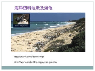http://www.seeturtles.org/ocean-plastic/
http://www.oceanrecov.org/
海洋塑料垃圾及海龟
 