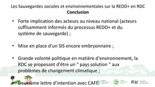 Les Sauvegardes sociales et environnementales sur la REDD+ en RDC
Conclusion
• Forte implication des acteurs au niveau nat...