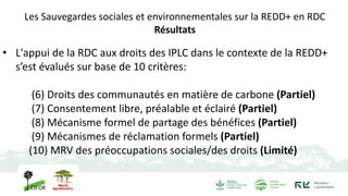 Les Sauvegardes sociales et environnementales sur la REDD+ en RDC
Résultats
• L'appui de la RDC aux droits des IPLC dans l...
