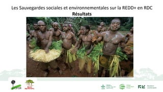 Les Sauvegardes sociales et environnementales sur la REDD+ en RDC
Résultats
 