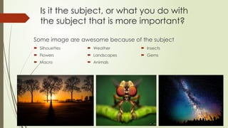 Strong Subject Photo Examples Photography Pillar 1 The Subject PowerPoint | PPTX