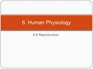 6. Human Physiology

    6.6 Reproduction
 