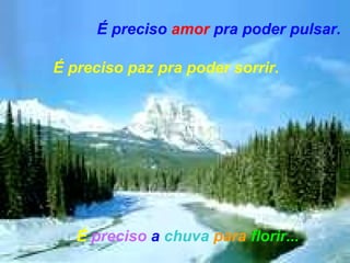 É preciso amor pra poder pulsar. É preciso paz pra poder sorrir. É preciso a chuva para florir...