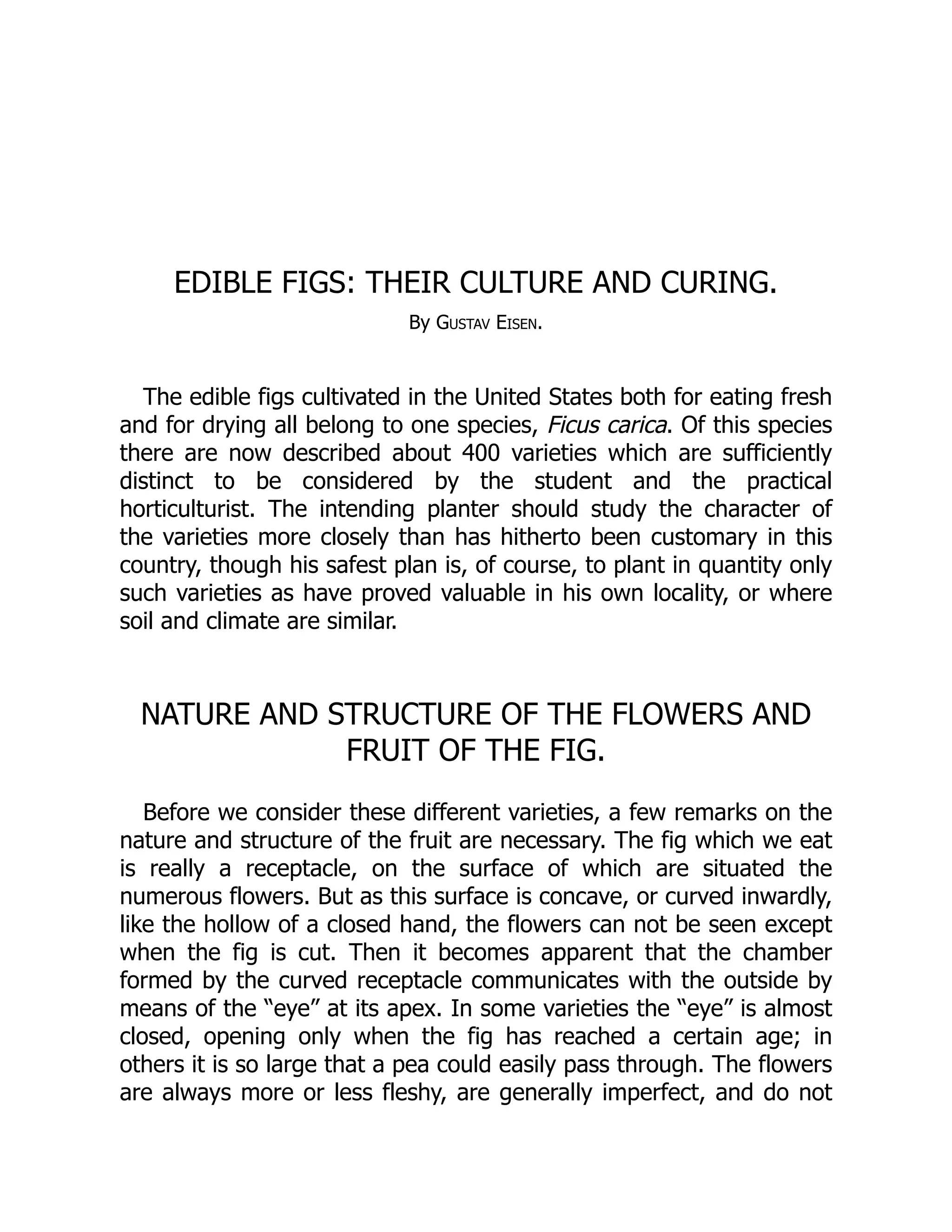 EDIBLE FIGS: THEIR CULTURE AND CURING.
By Gustav Eisen.
The edible figs cultivated in the United States both for eating fresh
and for drying all belong to one species, Ficus carica. Of this species
there are now described about 400 varieties which are sufficiently
distinct to be considered by the student and the practical
horticulturist. The intending planter should study the character of
the varieties more closely than has hitherto been customary in this
country, though his safest plan is, of course, to plant in quantity only
such varieties as have proved valuable in his own locality, or where
soil and climate are similar.
NATURE AND STRUCTURE OF THE FLOWERS AND
FRUIT OF THE FIG.
Before we consider these different varieties, a few remarks on the
nature and structure of the fruit are necessary. The fig which we eat
is really a receptacle, on the surface of which are situated the
numerous flowers. But as this surface is concave, or curved inwardly,
like the hollow of a closed hand, the flowers can not be seen except
when the fig is cut. Then it becomes apparent that the chamber
formed by the curved receptacle communicates with the outside by
means of the “eye” at its apex. In some varieties the “eye” is almost
closed, opening only when the fig has reached a certain age; in
others it is so large that a pea could easily pass through. The flowers
are always more or less fleshy, are generally imperfect, and do not
 
