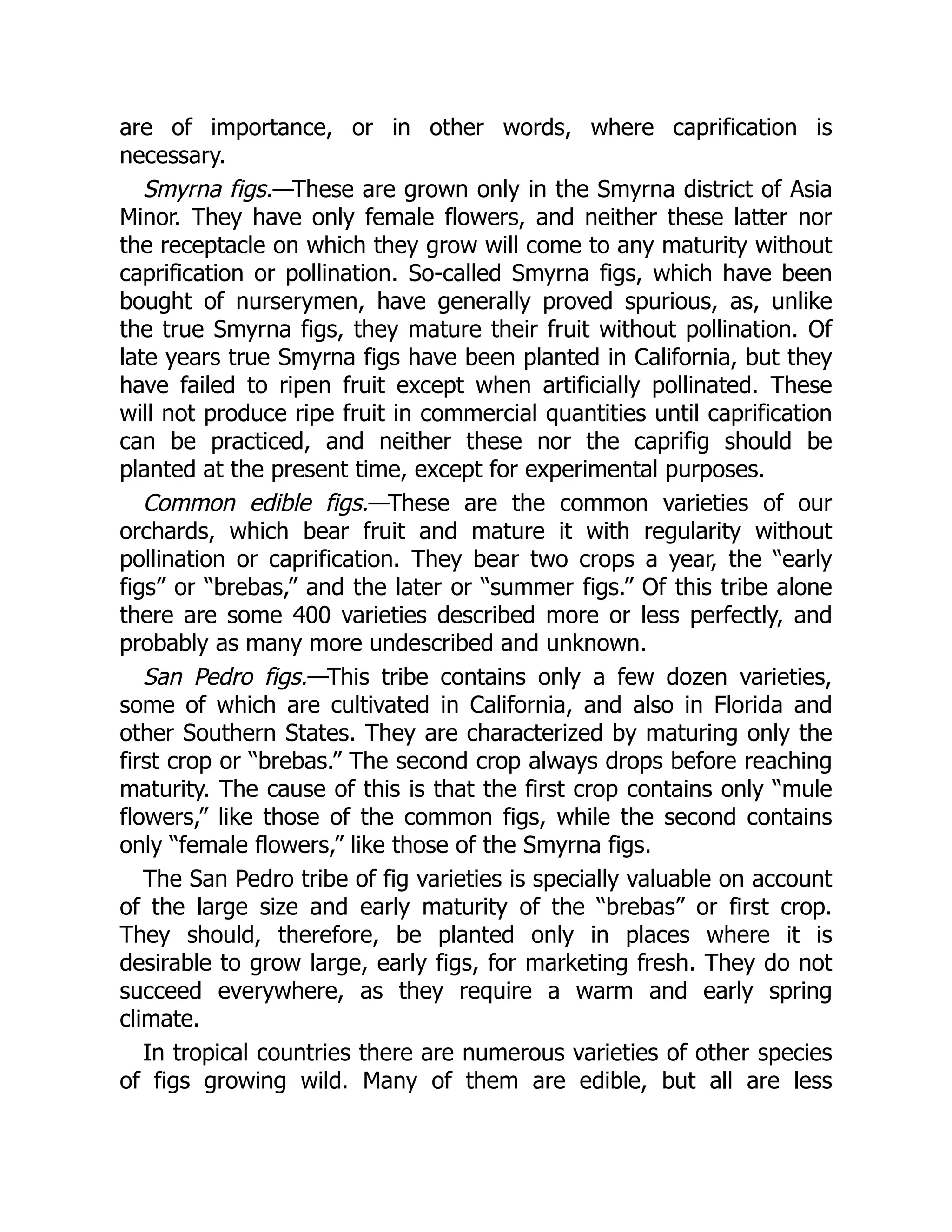 are of importance, or in other words, where caprification is
necessary.
Smyrna figs.—These are grown only in the Smyrna district of Asia
Minor. They have only female flowers, and neither these latter nor
the receptacle on which they grow will come to any maturity without
caprification or pollination. So-called Smyrna figs, which have been
bought of nurserymen, have generally proved spurious, as, unlike
the true Smyrna figs, they mature their fruit without pollination. Of
late years true Smyrna figs have been planted in California, but they
have failed to ripen fruit except when artificially pollinated. These
will not produce ripe fruit in commercial quantities until caprification
can be practiced, and neither these nor the caprifig should be
planted at the present time, except for experimental purposes.
Common edible figs.—These are the common varieties of our
orchards, which bear fruit and mature it with regularity without
pollination or caprification. They bear two crops a year, the “early
figs” or “brebas,” and the later or “summer figs.” Of this tribe alone
there are some 400 varieties described more or less perfectly, and
probably as many more undescribed and unknown.
San Pedro figs.—This tribe contains only a few dozen varieties,
some of which are cultivated in California, and also in Florida and
other Southern States. They are characterized by maturing only the
first crop or “brebas.” The second crop always drops before reaching
maturity. The cause of this is that the first crop contains only “mule
flowers,” like those of the common figs, while the second contains
only “female flowers,” like those of the Smyrna figs.
The San Pedro tribe of fig varieties is specially valuable on account
of the large size and early maturity of the “brebas” or first crop.
They should, therefore, be planted only in places where it is
desirable to grow large, early figs, for marketing fresh. They do not
succeed everywhere, as they require a warm and early spring
climate.
In tropical countries there are numerous varieties of other species
of figs growing wild. Many of them are edible, but all are less
 