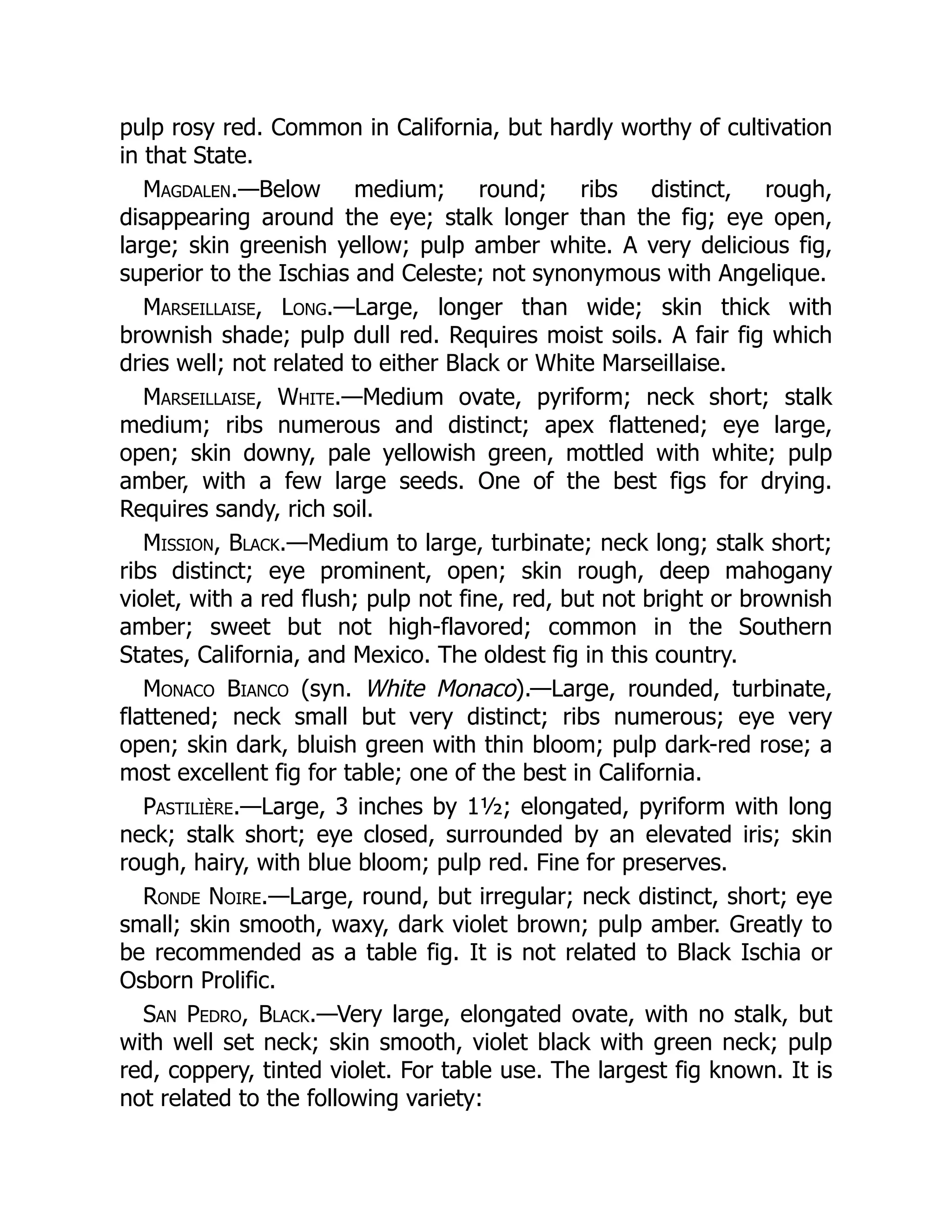 pulp rosy red. Common in California, but hardly worthy of cultivation
in that State.
Magdalen.—Below medium; round; ribs distinct, rough,
disappearing around the eye; stalk longer than the fig; eye open,
large; skin greenish yellow; pulp amber white. A very delicious fig,
superior to the Ischias and Celeste; not synonymous with Angelique.
Marseillaise, Long.—Large, longer than wide; skin thick with
brownish shade; pulp dull red. Requires moist soils. A fair fig which
dries well; not related to either Black or White Marseillaise.
Marseillaise, White.—Medium ovate, pyriform; neck short; stalk
medium; ribs numerous and distinct; apex flattened; eye large,
open; skin downy, pale yellowish green, mottled with white; pulp
amber, with a few large seeds. One of the best figs for drying.
Requires sandy, rich soil.
Mission, Black.—Medium to large, turbinate; neck long; stalk short;
ribs distinct; eye prominent, open; skin rough, deep mahogany
violet, with a red flush; pulp not fine, red, but not bright or brownish
amber; sweet but not high-flavored; common in the Southern
States, California, and Mexico. The oldest fig in this country.
Monaco Bianco (syn. White Monaco).—Large, rounded, turbinate,
flattened; neck small but very distinct; ribs numerous; eye very
open; skin dark, bluish green with thin bloom; pulp dark-red rose; a
most excellent fig for table; one of the best in California.
Pastilière.—Large, 3 inches by 1½; elongated, pyriform with long
neck; stalk short; eye closed, surrounded by an elevated iris; skin
rough, hairy, with blue bloom; pulp red. Fine for preserves.
Ronde Noire.—Large, round, but irregular; neck distinct, short; eye
small; skin smooth, waxy, dark violet brown; pulp amber. Greatly to
be recommended as a table fig. It is not related to Black Ischia or
Osborn Prolific.
San Pedro, Black.—Very large, elongated ovate, with no stalk, but
with well set neck; skin smooth, violet black with green neck; pulp
red, coppery, tinted violet. For table use. The largest fig known. It is
not related to the following variety:
 