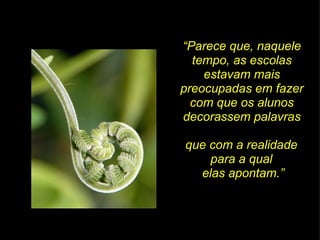 “ Parece que, naquele tempo, as escolas estavam mais preocupadas em fazer com que os alunos decorassem palavras que com a realidade  para a qual  elas apontam.” 