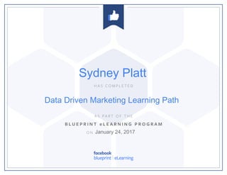 Data Driven Marketing Learning Path
January 24, 2017
Sydney Platt
 