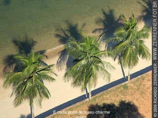 E cada praia tem seu charme único. 