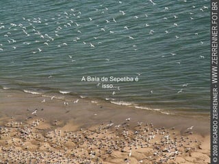 A Baía de Sepetiba é isso... 