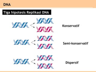Materi genetik | PPT