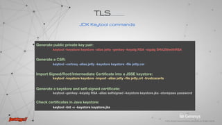 foo.cer
bar.pem
cert.p12
Cert Formats
JDK Keytool
OpenSSL
Tools
PKCS12 JSSE keystore
Keystore Types
Jetty uses JSSE keystore. keystore.jks - certificates repository in java format.
keystore - to provide credential.
truststore - to verify credentials.
Default JVM truststore: $JAVA_HOME/lib/security/cacerts
TLS
 