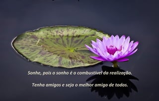 Sonhe, pois o sonho é o combustível da realização.

 Tenha amigos e seja o melhor amigo de todos.
 