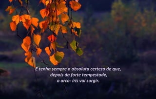 E tenha sempre a absoluta certeza de que,
       depois da forte tempestade,
          o arco- íris vai surgir.
 