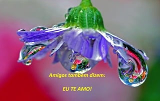 Amigos também dizem:

    EU TE AMO!
 