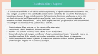 1
¨Estabulación y Reposo¨
Los ovinos son estabulados en los corrales destinados para ello y se separan dependiendo de la especie, sexo,
edad u origen. Los corrales están identificados con un número y una letra. En los corrales de estabulación
los animales disponen de agua en todo momento. Se le suministra alimentos a aquellos que no hayan sido
sacrificados dentro de las 12 horas siguientes a su llegada y posteriormente en cantidades moderadas y a
intervalos adecuados no superiores a 12 horas. Se les proporciona cama que garantice un nivel de comodidad
adecuado para las distintas especies y el número de animales.
• Los animales no deben amararse por los cuernos, ni las astas, patas.
• Las cuerdas o correas deberán ser resistentes a roturas.
• Permitir a los animales acostarse, comer y beber en caso de necesidad.
• Los corrales, incluyendo mangas, comederos y bebederos, se mantienen limpios y preparados para su uso
inmediato en el caso de los animales que precisen un cuidado específico durante su estabulación
• Aquellos animales que durante el periodo de estabulación presenten suciedad, antes de proceder a la
conducción para empezar con su sacrificio se limpian.
 