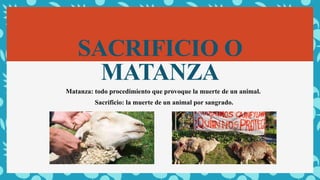 SACRIFICIO O
MATANZA
Matanza: todo procedimiento que provoque la muerte de un animal.
Sacrificio: la muerte de un animal por sangrado.
 