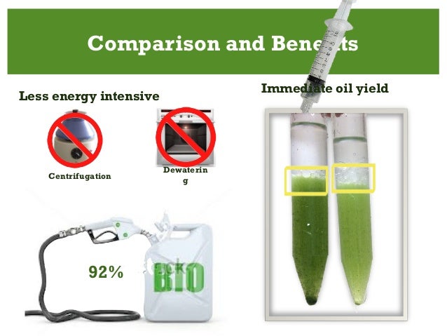 Algae Oil Extraction presentation