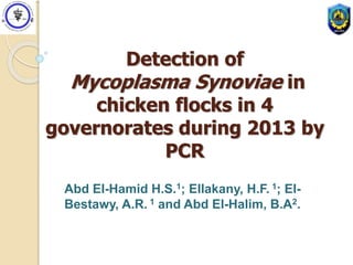 Detection of
Mycoplasma Synoviae in
chicken flocks in 4
governorates during 2013 by
PCR
Abd El-Hamid H.S.1; Ellakany, H.F. 1; El-
Bestawy, A.R. 1 and Abd El-Halim, B.A2.
 