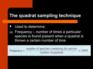  Used to determine:
(a) Frequency – number of times a particular
species is found present when a quadrat is
thrown a certain number of time
The quadrat sampling technique
 