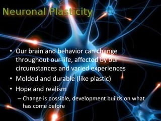 • Our brain and behavior can change
throughout our life, affected by our
circumstances and varied experiences
• Molded and durable (like plastic)
• Hope and realism
– Change is possible, development builds on what
has come before
 