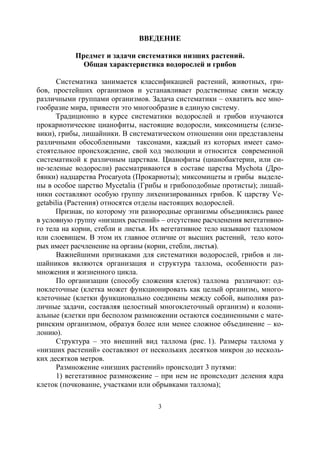 3
ВВЕДЕНИЕ
Предмет и задачи систематики низших растений.
Общая характеристика водорослей и грибов
Систематика занимается классификацией растений, животных, гри-
бов, простейших организмов и устанавливает родственные связи между
различными группами организмов. Задача систематики – охватить все мно-
гообразие мира, привести это многообразие в единую систему.
Традиционно в курсе систематики водорослей и грибов изучаются
прокариотические цианофиты, настоящие водоросли, миксомицеты (слизе-
вики), грибы, лишайники. В систематическом отношении они представлены
различными обособленными таксонами, каждый из которых имеет само-
стоятельное происхождение, свой ход эволюции и относится современной
систематикой к различным царствам. Цианофиты (цианобактерии, или си-
не-зеленые водоросли) рассматриваются в составе царства Mychota (Дро-
бянки) надцарства Procaryota (Прокариоты); миксомицеты и грибы выделе-
ны в особое царство Mycetalia (Грибы и грибоподобные протисты); лишай-
ники составляют особую группу лихенизированных грибов. К царству Ve-
getabilia (Растения) относятся отделы настоящих водорослей.
Признак, по которому эти разнородные организмы объединялись ранее
в условную группу «низших растений» – отсутствие расчленения вегетативно-
го тела на корни, стебли и листья. Их вегетативное тело называют талломом
или слоевищем. В этом их главное отличие от высших растений, тело кото-
рых имеет расчленение на органы (корни, стебли, листья).
Важнейшими признаками для систематики водорослей, грибов и ли-
шайников являются организация и структура таллома, особенности раз-
множения и жизненного цикла.
По организации (способу сложения клеток) таллома различают: од-
ноклеточные (клетка может функционировать как целый организм), много-
клеточные (клетки функционально соединены между собой, выполняя раз-
личные задачи, составляя целостный многоклеточный организм) и колони-
альные (клетки при бесполом размножении остаются соединенными с мате-
ринским организмом, образуя более или менее сложное объединение – ко-
лонию).
Структура – это внешний вид таллома (рис. 1). Размеры таллома у
«низших растений» составляют от нескольких десятков микрон до несколь-
ких десятков метров.
Размножение «низших растений» происходит 3 путями:
1) вегетативное размножение – при нем не происходит деления ядра
клеток (почкование, участками или обрывками таллома);
Copyright ОАО «ЦКБ «БИБКОМ» & ООО «Aгентство Kнига-Cервис»
 