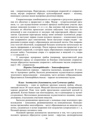 30
ния – спорангиоспоры. Перегородка, отделяющая спорангий от спорангие-
носца, внутри спорангия образует куполообразный вырост – колонку,
имеющую у разных видов мукоровых различную форму.
Спорангиоспоры освобождаются из спорангия в результате разруше-
ния его оболочки и прорастают в гифы. Мукор – гетероталличный орга-
низм, т.е. для осуществления полового процесса необходимо участие двух
разных мицелиев (условно «+» и «–»). Два кончика гиф встречаются, при
контакте их оболочек происходит сильное набухание этих концевых от-
ветвлений и они отделяются от несущих гиф перегородкой, образуя гаме-
тангии. Срединная перегородка между ними начинает ослизняться, разру-
шается и наступает первая стадия полового процесса – плазмогамия (слия-
ние содержимого двух гаметангиев). Затем наступает вторая стадия – ка-
риогамия (слияние ядер) с образованием диплоидной зиготы. Она покрыва-
ется толстой оболочкой, содержащей большое количество питательных ве-
ществ, превращаясь в зигоспору. После периода покоя она прорастает в за-
родышевый спорангий, в котором перед образованием спорангиоспор про-
исходит мейоз. Гаплоидные споры «+» прорастают в мицелий «+», споры
«–» в мицелий «–».
У некоторых мукоровых грибов (например, представителей рода
Thamnidium) наряду со спорангиями на боковых ответвлениях спорангие-
носцев образуются маленькие спорангии с небольшим числом спорангиос-
пор (1–10) – спорангиоли.
Порядок Entomophthorales – Энтомофторовые
Представители порядка – паразиты насекомых, водорослей. В отли-
чие от мукоровых грибов, бесполое размножение осуществляется спорами
экзогенного происхождения – конидиями, часто активно отбрасываемыми.
Представитель Entomophthora muscae – паразит на комнатных мухах.
Класс Ascomycetes (Аскомицеты, или Сумчатые грибы)
Аскомицеты – один из наиболее крупных классов грибов, объеди-
няющий около 30 тысяч видов. Мицелий многоклеточный, септированный,
хорошо развитый. Реже тело гриба представлено одиночной клеткой (у
дрожжей). Клетки бывают как многоядерные, так и одноядерные (у мучни-
сто-росяных). Вегетативное размножение осуществляется оидиями, хлами-
доспорами, отдельными участками мицелия.
Бесполое размножение происходит с помощью спор экзогенного про-
исхождения – конидиями, развивающимися на конидиеносцах. Конидие-
носцы чрезвычайно многообразны – могут образовываться на мицелии оди-
ночно, соединяться в пучки (коремии) или подушечки (спородохии) и т. д.
Половой процесс оогамного типа.
Основной признак аскомицетов заключается в том, что в результате
полового процесса образуются сумки (аски) – округлые, цилиндрические
Copyright ОАО «ЦКБ «БИБКОМ» & ООО «Aгентство Kнига-Cервис»
 