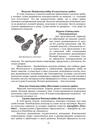32
Подкласс Hemiascomycetidae (Голосумчатые грибы)
К этому подклассу относятся наиболее примитивные сумчатые грибы,
у которых сумки развиваются непосредственно на мицелии, т.е. плодовые
тела отсутствуют. Это как одноклеточные грибы, так и, реже, грибы,
имеющие септированный мицелий. Бесполое размножение конидиями (поч-
ти не развитое); половой процесс хологамия и зигогамия. Зигота непосред-
ственно превращается в сумку. Сумки ничем не прикрыты – голо лежат на
поверхности мицелия.
Порядок Endomycetales
(Эндомицетовые)
Для представителей характер-
но образование на мицелии одиноч-
ных сумок, развивающихся из зиго-
ты без участия аскогенных гиф. На-
стоящий мицелий у большинства от-
сутствует, а тело представлено в ви-
де одиночной либо почкующейся
клетки (вегетативное размножение).
Половой процесс – хологамия. Сум-
ки образуются непосредственно на
мицелии. Это преимущественно сапротрофы, приурочены к субстратам, бо-
гатым сахаром.
Представитель – Saccharomyces cerevisiae (пивные, или хлебные дрож-
жи). Используются в пивоварении и хлебопечении. Дрожжевые грибы не
имеют мицелия, а существуют в виде отдельных почкующихся клеток, кото-
рые размножаются почкованием при благоприятных условиях (достаточное
количество сахара, нужная температура и аэрация). При недостатке питания и
большом доступе кислорода клетка превращается в сумку, в которой развива-
ется по 4, реже 8 аскоспор. Половое размножение – типа хологамии.
Подкласс Euascomycetidae (Настоящие сумчатые грибы)
Мицелий многоклеточный. Хорошо развито конидиальное спороно-
шение. Половой процесс оогамного типа. Сумки развиваются посредством
аскогенных гиф в плодовых телах. В основе классификации подкласса – ти-
пы строения плодовых тел.
Группа порядков Plectomycetiidae (Плектомицеты)
К этой группе относят эуаскомицеты, имеющие плодовые тела типа
клейстотеция. Освобождение аскоспор из сумок всегда пассивное. Выделя-
ют несколько порядков, из которых наиболее известен Aspergillales (Euro-
tiales) – Аспергилловые (Эвроциевые). Представители – Aspergillus sp. (Ас-
пергилл) и Penicillium sp. (Пеницилл).
Бесполое размножение осуществляется конидиями. Конидиальное
спороношение играет существенную роль в распространении аспергилло-
вых грибов и преобладает в цикле развития. Конидии образуются на спе-
Saccharomyces cerevisiae
Copyright ОАО «ЦКБ «БИБКОМ» & ООО «Aгентство Kнига-Cервис»
 