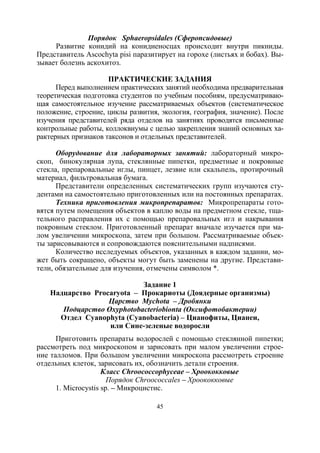 45
Порядок Sphaeropsidales (Сферопсидовые)
Развитие конидий на конидиеносцах происходит внутри пикниды.
Представитель Ascochyta pisi паразитирует на горохе (листьях и бобах). Вы-
зывает болезнь аскохитоз.
ПРАКТИЧЕСКИЕ ЗАДАНИЯ
Перед выполнением практических занятий необходима предварительная
теоретическая подготовка студентов по учебным пособиям, предусматриваю-
щая самостоятельное изучение рассматриваемых объектов (систематическое
положение, строение, циклы развития, экология, география, значение). После
изучения представителей ряда отделов на занятиях проводятся письменные
контрольные работы, коллоквиумы с целью закрепления знаний основных ха-
рактерных признаков таксонов и отдельных представителей.
Оборудование для лабораторных занятий: лабораторный микро-
скоп, бинокулярная лупа, стеклянные пипетки, предметные и покровные
стекла, препаровальные иглы, пинцет, лезвие или скальпель, протирочный
материал, фильтровальная бумага.
Представители определенных систематических групп изучаются сту-
дентами на самостоятельно приготовленных или на постоянных препаратах.
Техника приготовления микропрепаратов: Микропрепараты гото-
вятся путем помещения объектов в каплю воды на предметном стекле, тща-
тельного расправления их с помощью препаровальных игл и накрывания
покровным стеклом. Приготовленный препарат вначале изучается при ма-
лом увеличении микроскопа, затем при большом. Рассматриваемые объек-
ты зарисовываются и сопровождаются пояснительными надписями.
Количество исследуемых объектов, указанных в каждом задании, мо-
жет быть сокращено, объекты могут быть заменены на другие. Представи-
тели, обязательные для изучения, отмечены символом *.
Задание 1
Надцарство Procaryota – Прокариоты (Доядерные организмы)
Царство Mychota – Дробянки
Подцарство Oxyphotobacteriobionta (Оксифотобактерии)
Отдел Cyanophyta (Cyanobacteria) – Цианофиты, Цианеи,
или Сине-зеленые водоросли
Приготовить препараты водорослей с помощью стеклянной пипетки;
рассмотреть под микроскопом и зарисовать при малом увеличении строе-
ние талломов. При большом увеличении микроскопа рассмотреть строение
отдельных клеток, зарисовать их, обозначить детали строения.
Класс Chroococcophyceae – Хроококковые
Порядок Chroococcales – Хроококковые
1. Microcystis sp. – Микроцистис.
Copyright ОАО «ЦКБ «БИБКОМ» & ООО «Aгентство Kнига-Cервис»
 
