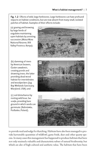 Habitat Management for Conservation Malcolm Ausden | PDF