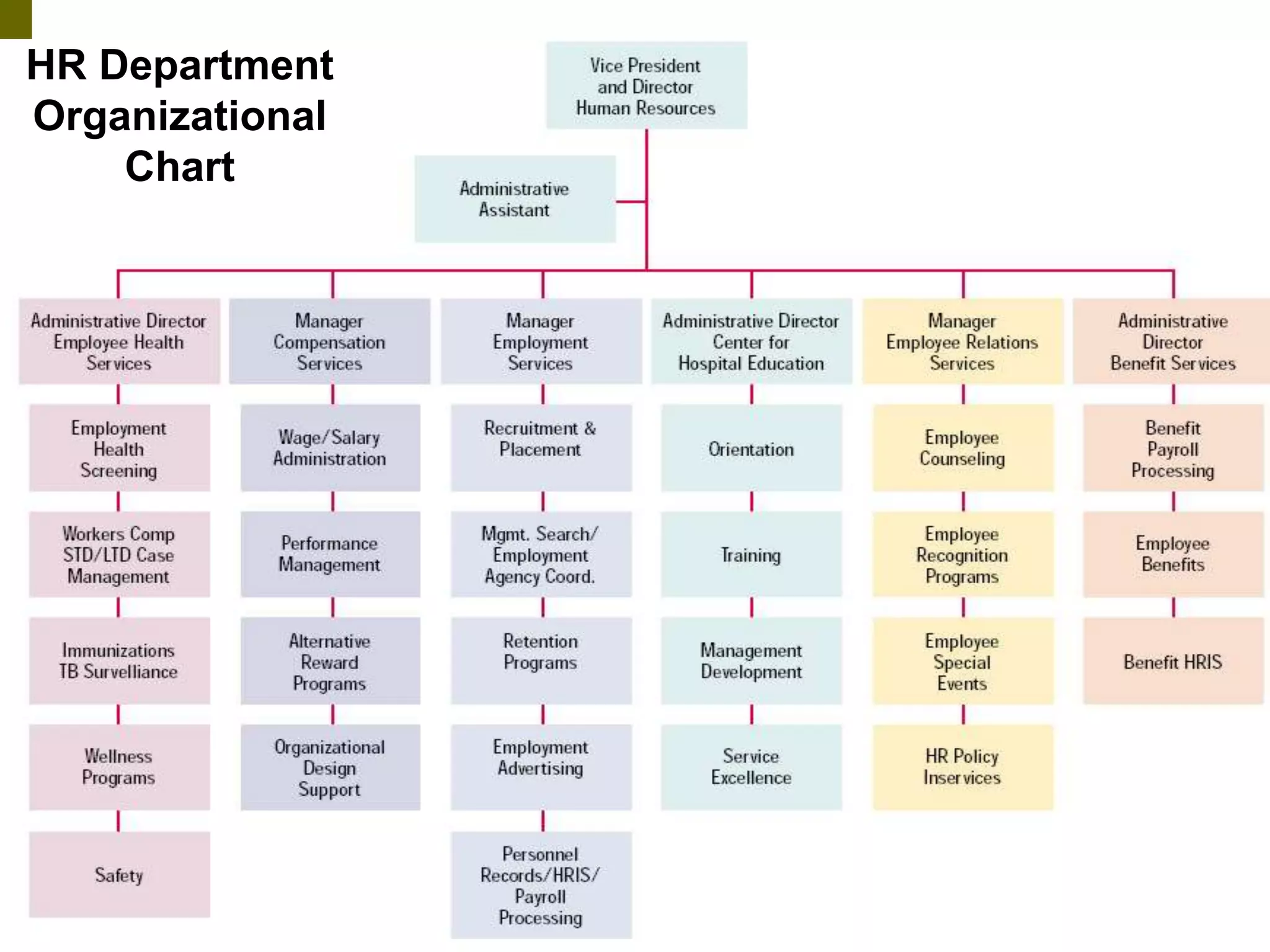 HR Department
Organizational
Chart
 