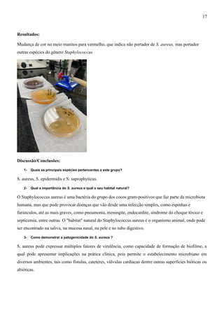 Resultados:
Mudança de cor no meio manitos para vermelho, que indica não portador de S. aureus, mas portador
outras espécies do gênero Staphylococcus
Discussão/Conclusões:
1- Quais as principais espécies pertencentes a este grupo?
S. aureus, S. epidermidis e S. saprophyticus.
2- Qual a importância do S. aureus e qual o seu habitat natural?
O Staphylococcus aureus é uma bactéria do grupo dos cocos gram-positivos que faz parte da microbiota
humana, mas que pode provocar doenças que vão desde uma infecção simples, como espinhas e
furúnculos, até as mais graves, como pneumonia, meningite, endocardite, síndrome do choque tóxico e
septicemia, entre outras. O "habitat" natural do Staphylococcus aureus é o organismo animal, onde pode
ser encontrado na saliva, na mucosa nasal, na pele e no tubo digestivo.
3- Como demonstrar a patogenicidade do S. aureus ?
S. aureus pode expressar múltiplos fatores de virulência, como capacidade de formação de biofilme, a
qual pode apresentar implicações na prática clínica, pois permite o estabelecimento microbiano em
diversos ambientes, tais como fístulas, cateteres, válvulas cardíacas dentre outras superfícies bióticas ou
abióticas.
17
 
