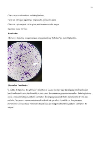 Observar o crescimento no meio tioglicolato
Fazer um esfregaço a partir do tioglicolato, corar pelo gram
Observar a presença de cocos gram positivos em cadeias longas
Desenhar o que foi visto
Resultados:
Não houve hemólise no agar sangue; aparecimento de ‘bolinhas’ no meio tilglicolato.
Discussões/ Conclusões:
O padrão de hemólise dos glóbulos vermelhos de sangue no meio agar de sangue permite distinguir
bactérias hemolíticas e não-hemolíticas, tais como Streptococcus pyogenes (causadora da faringite) que
causa a lise completa dos glóbulos vermelhos do sangue produzindo halos transparentes à volta das
colónias, Streptococcus mutans (causa cárie dentária), que não é hemolítica, e Streptococcus
pneumoniae (causadora de pneumonia bacteriana) que lisa parcialmente os glóbulos vermelhos do
sangue.
19
 