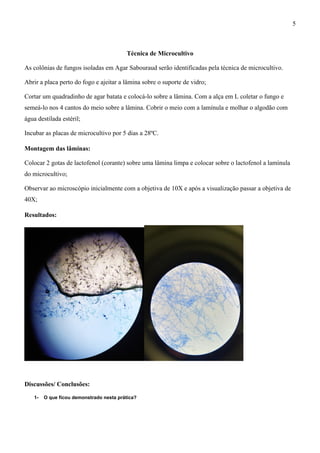 Técnica de Microcultivo
As colônias de fungos isoladas em Agar Sabouraud serão identificadas pela técnica de microcultivo.
Abrir a placa perto do fogo e ajeitar a lâmina sobre o suporte de vidro;
Cortar um quadradinho de agar batata e colocá-lo sobre a lâmina. Com a alça em L coletar o fungo e
semeá-lo nos 4 cantos do meio sobre a lâmina. Cobrir o meio com a lamínula e molhar o algodão com
água destilada estéril;
Incubar as placas de microcultivo por 5 dias a 28ºC.
Montagem das lâminas:
Colocar 2 gotas de lactofenol (corante) sobre uma lâmina limpa e colocar sobre o lactofenol a lamínula
do microcultivo;
Observar ao microscópio inicialmente com a objetiva de 10X e após a visualização passar a objetiva de
40X;
Resultados:
Discussões/ Conclusões:
1- O que ficou demonstrado nesta prática?
5
 