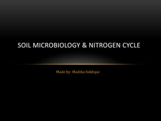 Made by: Madiha Siddiqui
SOIL MICROBIOLOGY & NITROGEN CYCLE
 