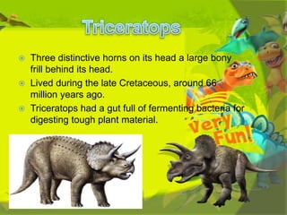 



Three distinctive horns on its head a large bony
frill behind its head.
Lived during the late Cretaceous, around 66
million years ago.
Triceratops had a gut full of fermenting bacteria for
digesting tough plant material.

 