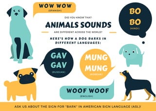 ANIMALS SOUNDS
ARE DIFFERENT ACROSS THE WORLD?
ASK US ABOUT THE SIGN FOR "BARK" IN AMERICAN SIGN LANGUAGE (ASL)!
H E R E ' S   H O W   A   D O G   B A R K S   I N
D I F F E R E N T   L A N G U A G E S :
DID YOU KNOW THAT
WOOF WOOF
BO
BO
GAV
GAV
WOW WOW
MUNG
MUNG
(HINDI)
(SPANISH)
(KOREAN)
(RUSSIAN)
(ENGLISH)
. .. .
..
 